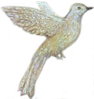 White Bird flying